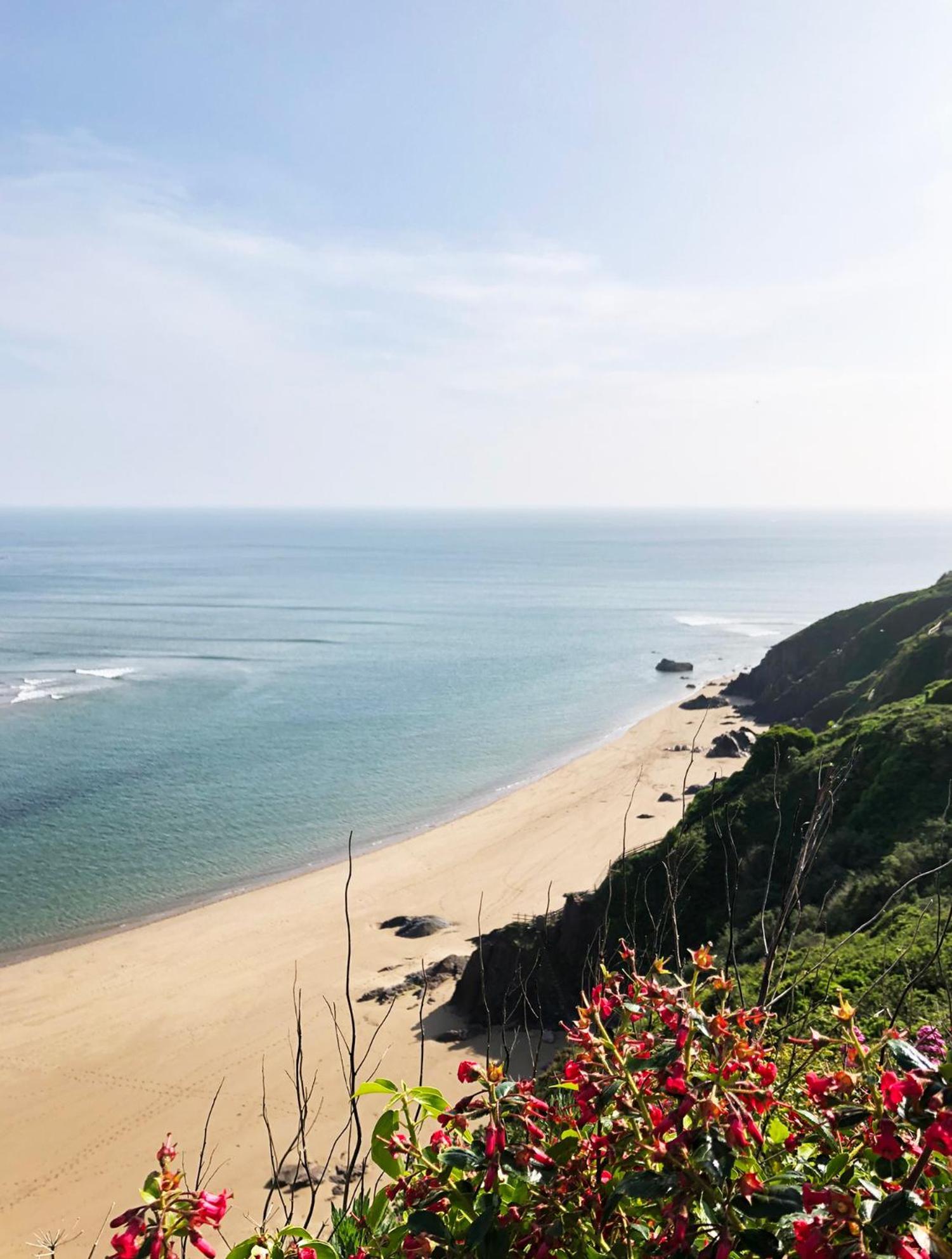 Cosy Beachside Cottage Bigbury Exteriér fotografie